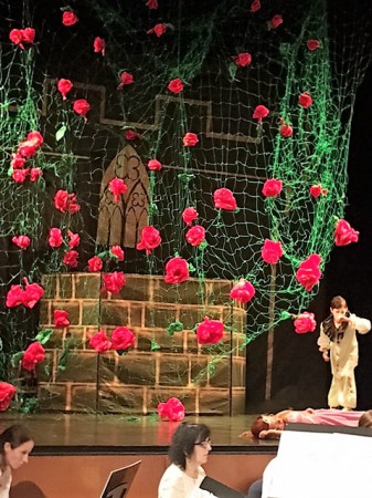 Ruženka bola ľúbezná